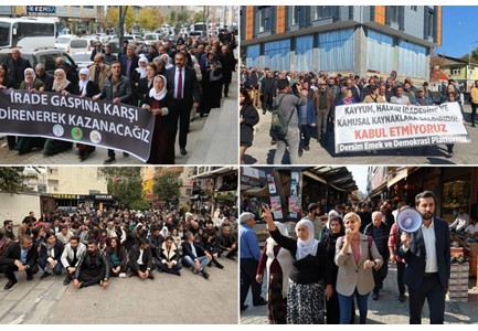 Batman, Mardin ve Halfeti Kayyım Raporu, Batman, Mardin ve Halfeti Kayyım Raporu ,öhd,
