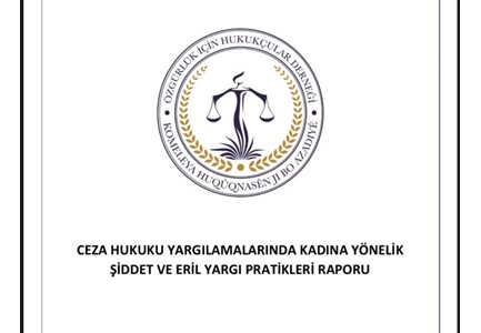 CEZA HUKUKU YARGILAMALARINDA KADINA YÖNELİK ŞİDDET VE ERİL YARGI PRATİKLERİ RAPORU, Kadına yönelik şiddet,kadın davaları,eril yargı,
