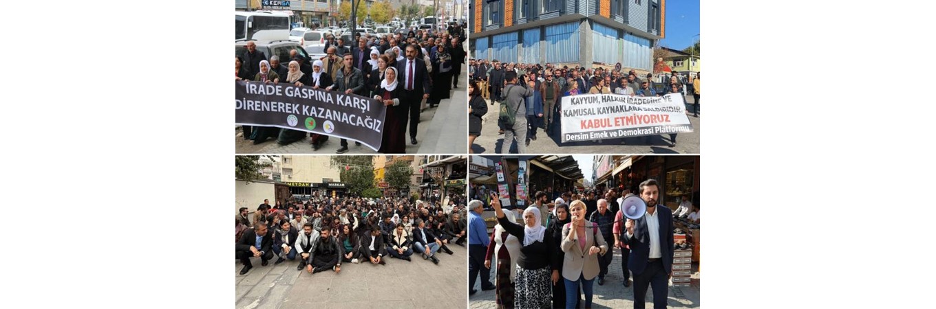 Batman, Mardin ve Halfeti Kayyım Raporu, Batman, Mardin ve Halfeti Kayyım Raporu ,öhd