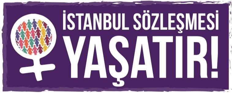 DANIŞTAYA AÇIK MEKTUBUMUZ, DANIŞTAY İSTANBUL SÖZLEŞMESİ ÖHD