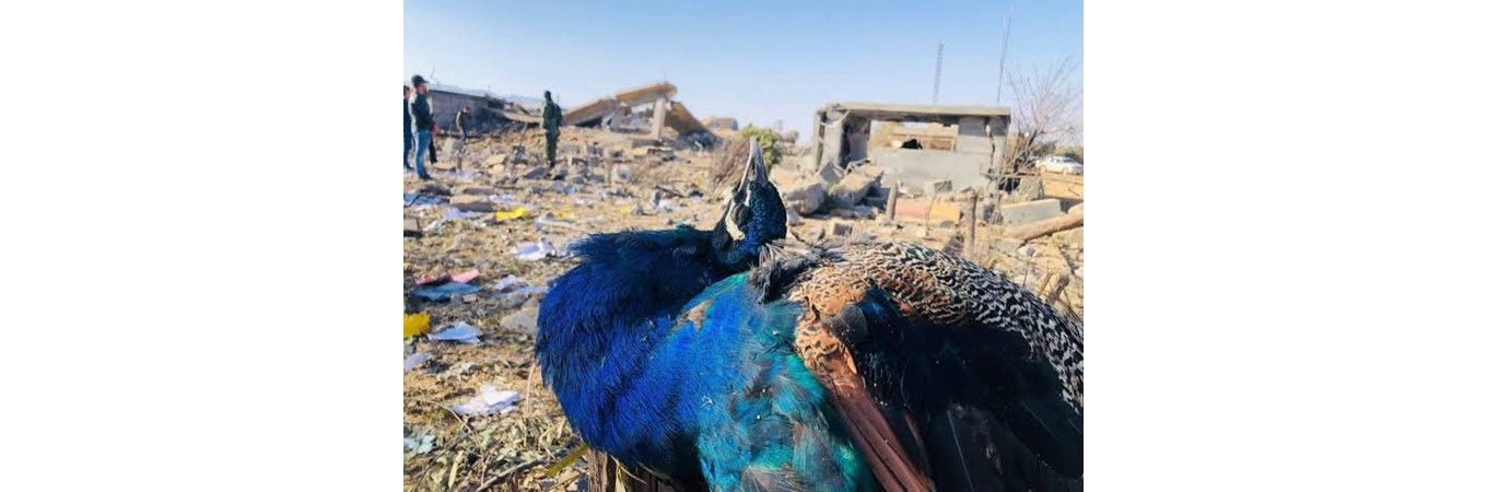 ÊZİDÎ SOYKIRIMINI TANINSIN!, ÊZİDÎ SOYKIRIM ÖHD